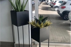 Car_5