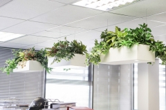 2Offices-2