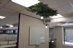 orporate_office_5