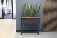 orporate_office_9