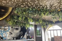 2Restaurants-11