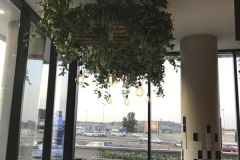 resturant_13