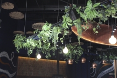 resturant_16