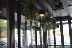 resturant_23