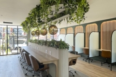 Uni_Sch_1-Ivy-Bulkhead-with-Pealeaf