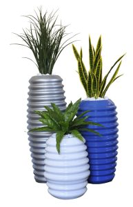 Grasses / MIL Tongue / Birds Nest