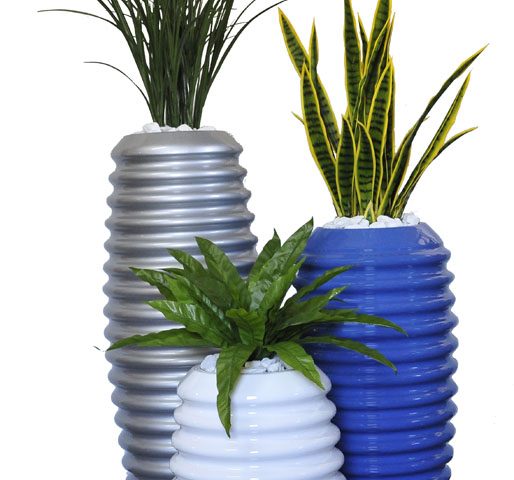 Grasses / MIL Tongue / Birds Nest