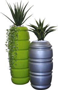 Aloe / Wandering Jew / Agave