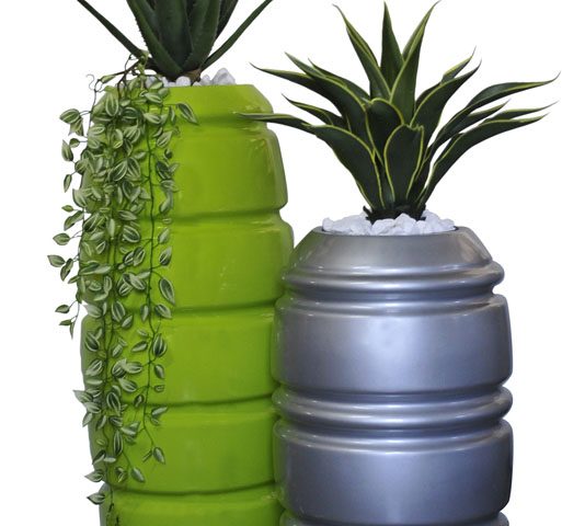 Aloe / Wandering Jew / Agave