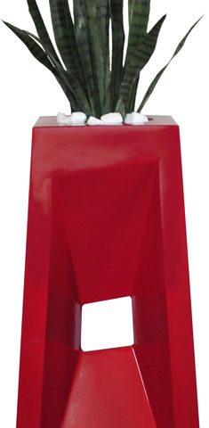 Green Mother in Law's Tongue in Diagonal Pot