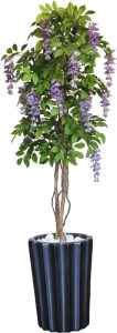 Wisteria Tree in Tall Groove Pot