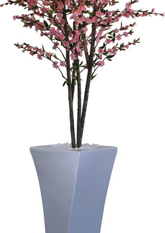 1.5m Cherry Blossom Tree in Nataniel Pot