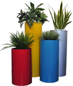 Cylinder Pot Grouping with Ferns / Grasses / MIL Tongue / Variety