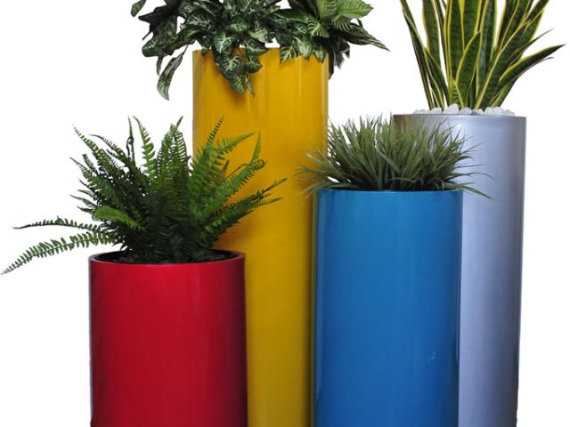 Cylinder Pot Grouping with Ferns / Grasses / MIL Tongue / Variety