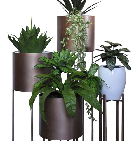 Round Steel Plant Grouping with Agave / Birds Nest & Anglonemas / Yucca & Ivy / Peacock