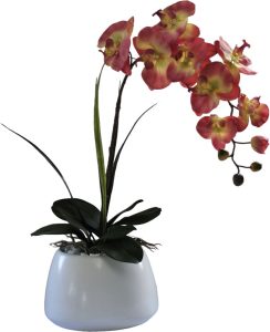 Autumn Orchid in LVG Cone Vase