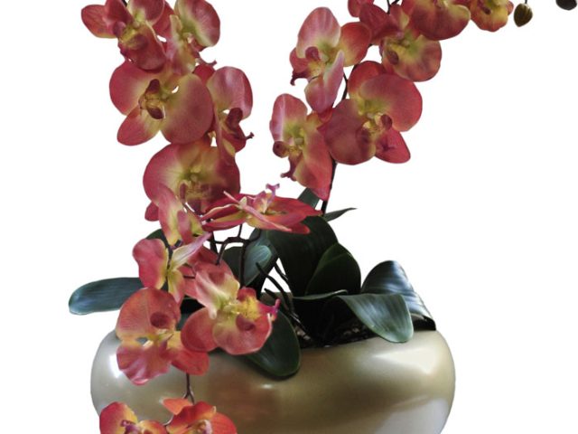 Desktop Vase with Autumn Pink Orchids