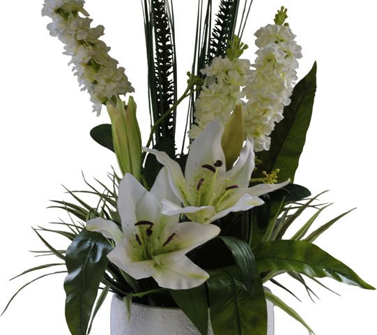 Tiger Lilly & Stock with Asplenium