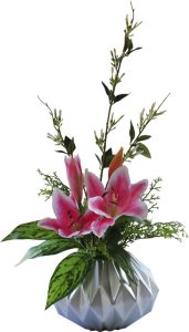 Sweet Clover & Tiger Lilly Anglaonema