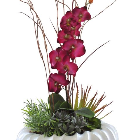 Orchid with Succulents in Wave Vase