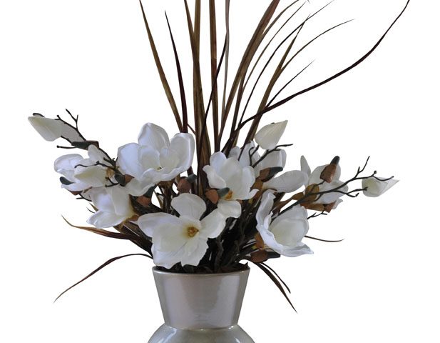 White Magnolia in Rocky Vase