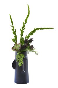 Black Face Vase With Succulents
