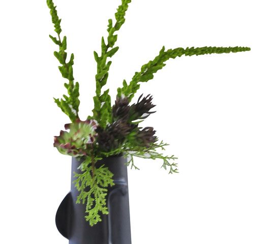 Black Face Vase With Succulents