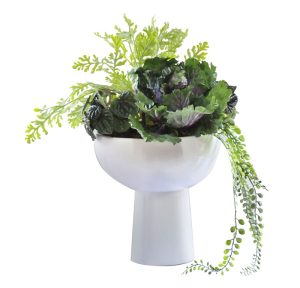 Cabbage & Pepperonia Assortment