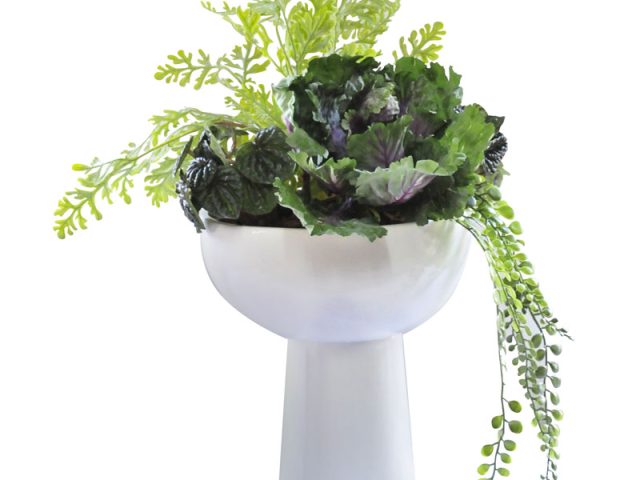 Cabbage & Pepperonia Assortment