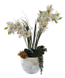 Cymbidium & Succulents in Antique Vase