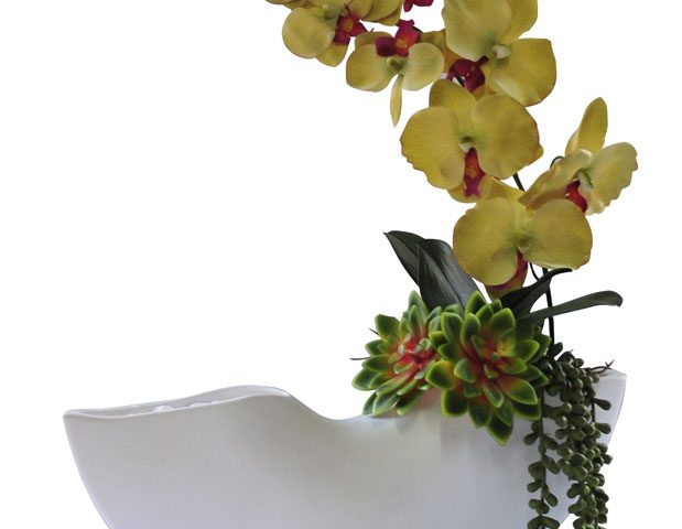 Green Orchid & Rock Roses in Half Pipe Vase