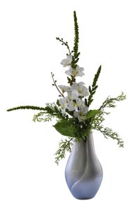 Largerstroemia & Amaranthis