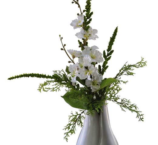 Largerstroemia & Amaranthis