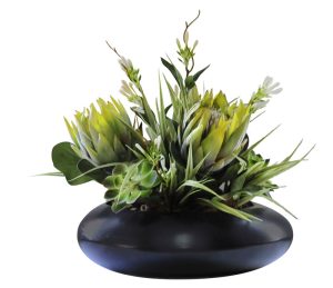 Protea & Succulents in UFO Vase