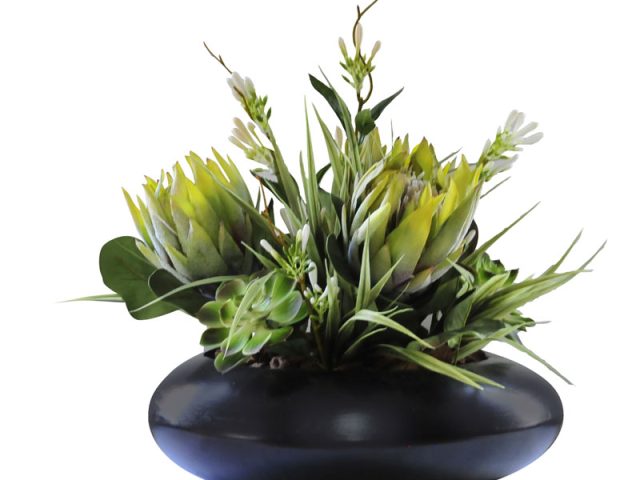 Protea & Succulents in UFO Vase