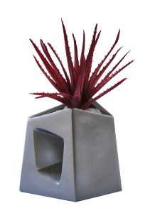 Spiky Aloe in Chimney Vase