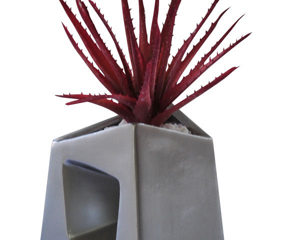 Spiky Aloe in Chimney Vase