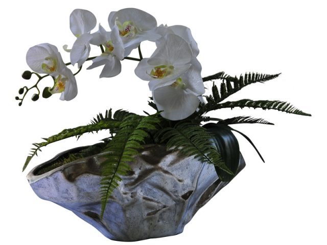 Chinese Silver Orchid in Paper Vase