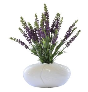 Lavender in Ceramic Vase