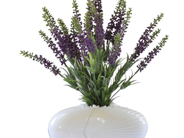Lavender in Ceramic Vase
