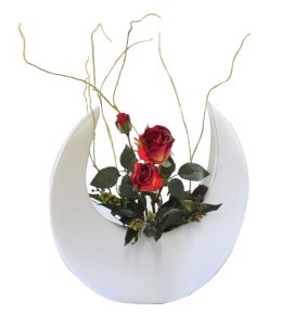 Red Dry Roses in Sickle Moon Vase