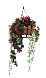 Hanging Basket 3