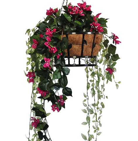 Hanging Basket 3
