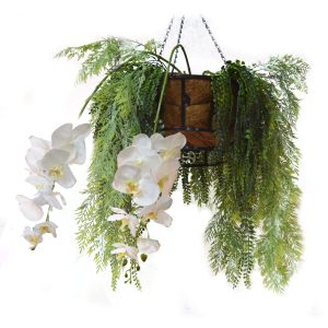 Hanging Basket 6