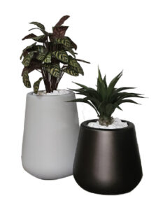 Peacock /  Agave Green in Amber Pot