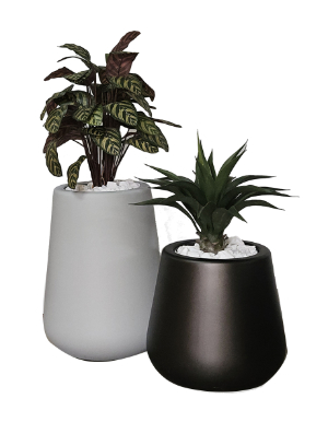 Peacock /  Agave Green in Amber Pot