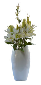 Tiger Lilies in Slanted Vase