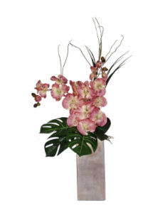 Autumn Pink Orchids and Delicious Monster in Square Vase