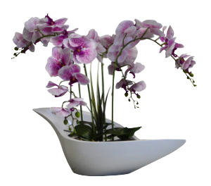 Speckled Purple Orchids in Boat Vase