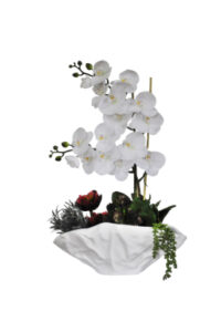 White Orchids and Succulents in Paper Vase